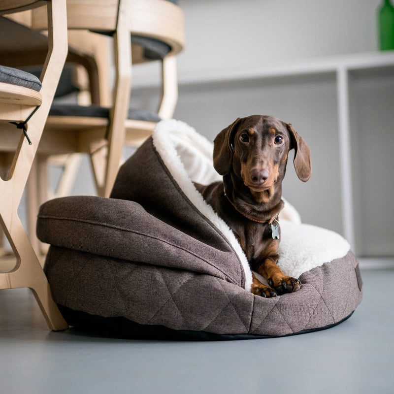 Pet Beds