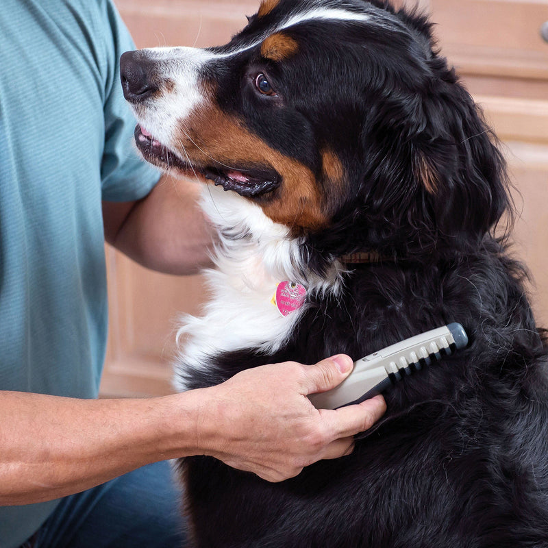 Grooming Essentials