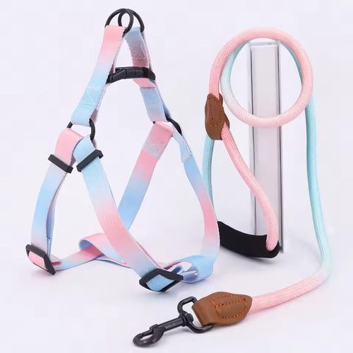 Adjustable Soft Dog Harness and Leash Set